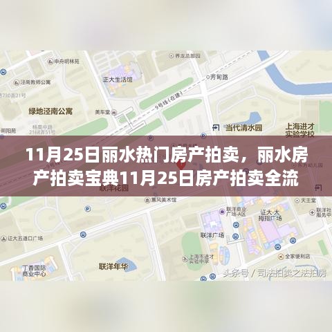 丽水房产拍卖宝典，全流程指南助你轻松参与11月25日房产拍卖