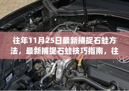 往年11月25日石蛙捕捉方法与技巧指南，实践心得分享