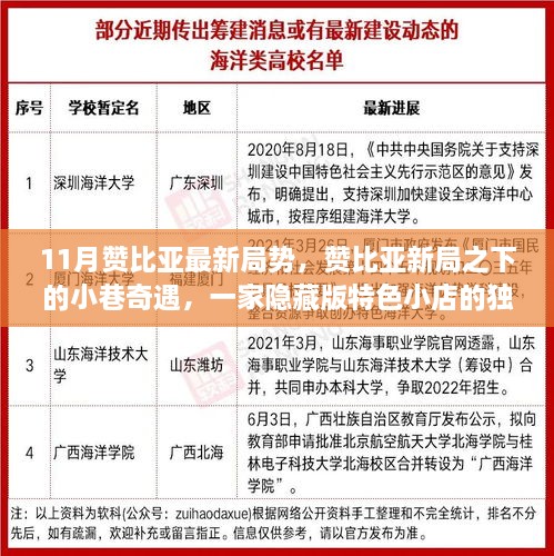 赞比亚新局下的小巷奇遇，隐藏版特色小店的魅力