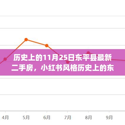 历史上的东平二手房风云揭秘，深度解析最新市场动态与背后的故事