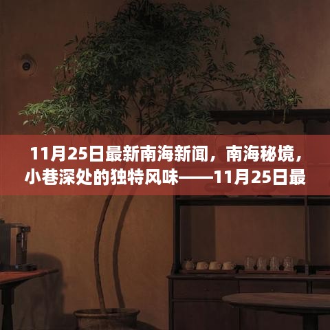 南海秘境探秘，小巷深处的独特风味与最新新闻动态（11月25日）