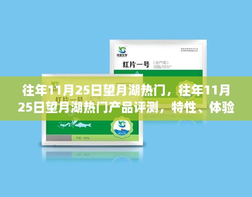 往年11月25日望月湖热门产品深度解析，特性、体验、对比与评测报告