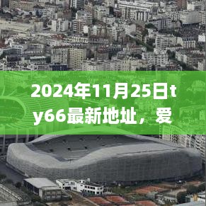 TY66新旅程温馨日常，爱在重逢之时，2024年最新地址揭晓