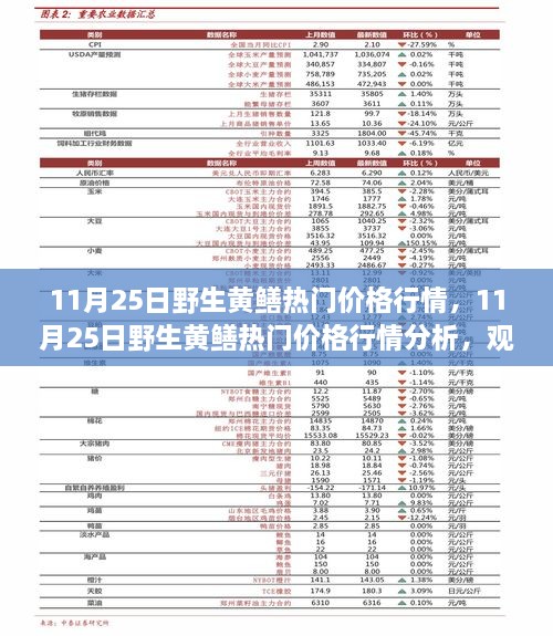 11月25日野生黄鳝价格行情深度解析，市场洞察与观点阐述