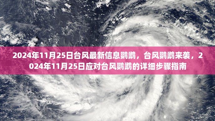 台风鹦鹉来袭，应对指南与最新信息（2024年11月25日）