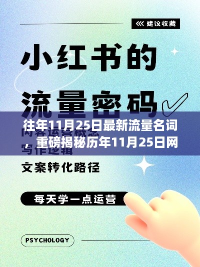 历年11月25日网络热词大盘点，解锁最新流量密码，小红书独家解读！