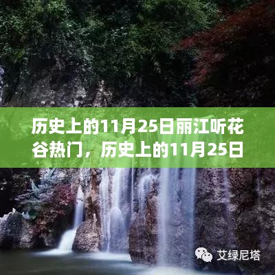 丽江听花谷，历史上的热门时刻回顾