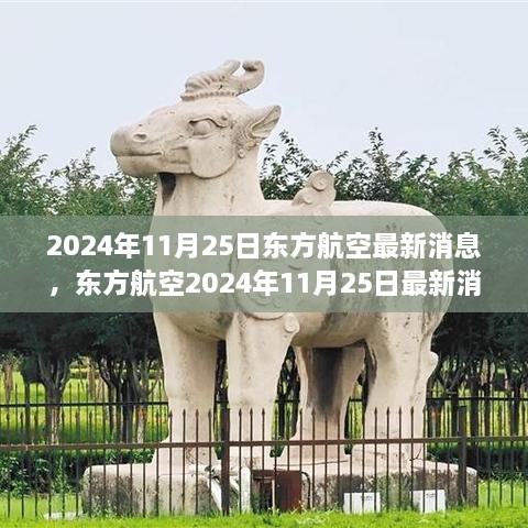 东方航空最新消息概览，2024年11月25日更新