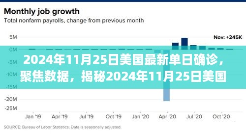 揭秘，2024年11月25日美国最新单日确诊数据报告