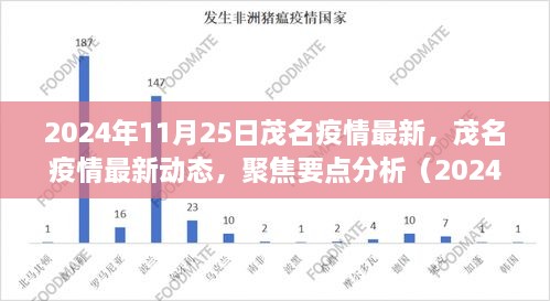 茂名疫情最新动态分析报告（聚焦要点分析，2024年11月25日版）