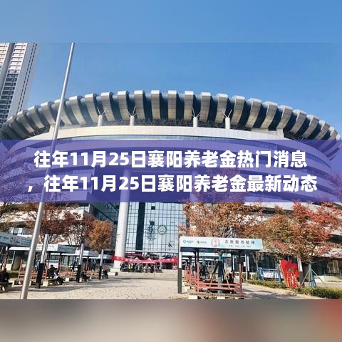 往年11月25日襄阳养老金动态与政策热点解读