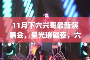 揭秘，星光璀璨之夜——六兴哥最新演唱会精彩瞬间与音符盛宴开启十一月的狂欢