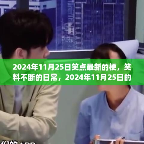 2024年11月25日欢乐时光，最新梗与笑料不断的日常