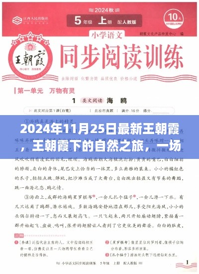 王朝霞的自然之旅，寻找内心平静的奇妙探险（2024年11月25日最新）