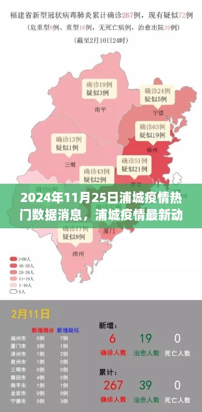 2024年11月25日浦城疫情最新动态与热门数据消息全面解析