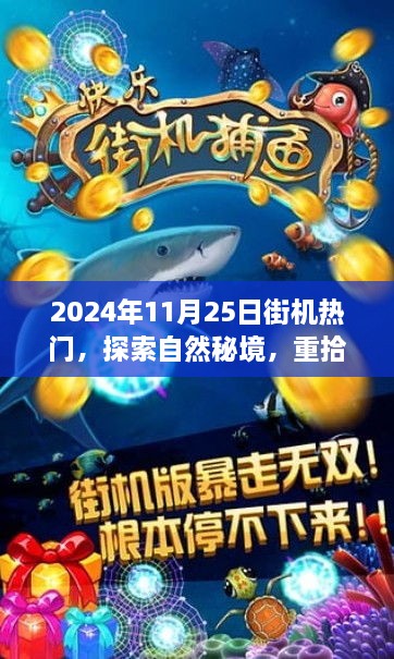 2024年11月25日街机热门之旅，探索自然秘境，领略别样风情，重拾内心宁静