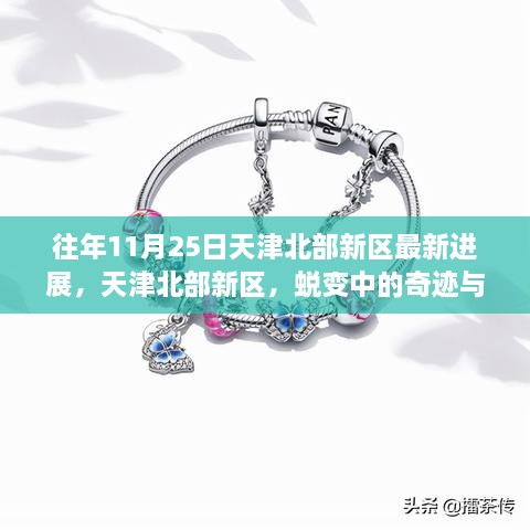 天津北部新区蜕变展，奇迹与学习的力量，展现自信与成就的新篇章