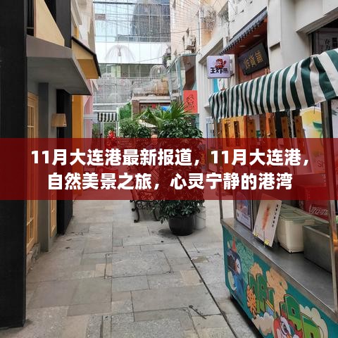 11月大连港，自然美景之旅，心灵的宁静港湾最新报道