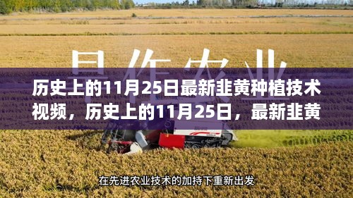 最新韭黄种植技术视频，农业革新视角下的历史探讨与未来展望