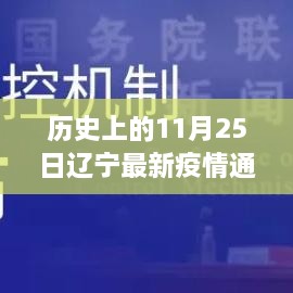 历史上的11月25日辽宁疫情通报数据深度解析与介绍