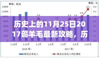 揭秘历史11月25日，揭秘薅羊毛攻略背后的秘密与羊毛大战的真相（2017年最新）