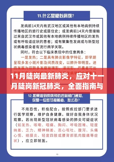 全面指南与步骤详解，应对十一月陡岗新冠肺炎，初学者与进阶用户必读