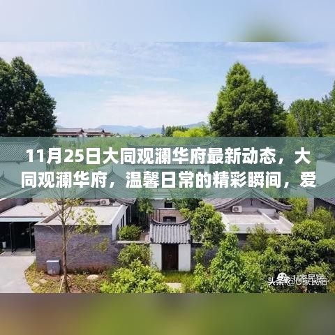 11月25日大同观澜华府最新动态，大同观澜华府，温馨日常的精彩瞬间，爱在11月25日的暖阳里