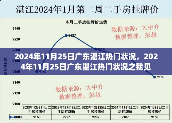 广东湛江热门状况观察与解读，2024年11月25日的观察视角