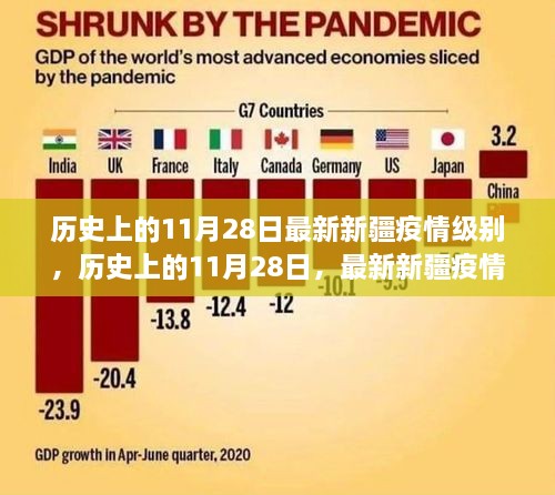 历史上的11月28日新疆疫情级别深度解析与观点阐述