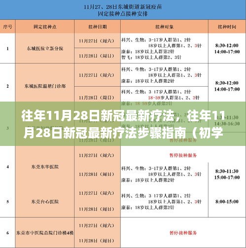 往年11月28日新冠最新疗法及其步骤指南，适合初学者与进阶用户参考