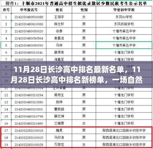 长沙高中排名最新榜单与探索自然美景的心灵之旅