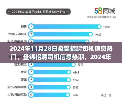 2024年11月28日盘锦司机招聘热潮，行业聚焦与影响