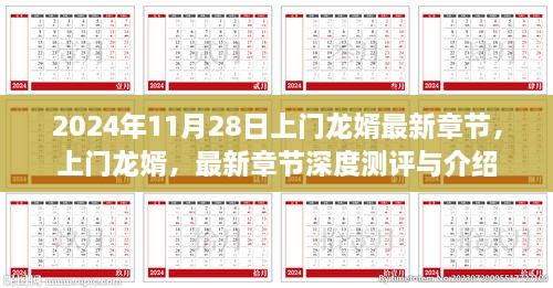 上门龙婿深度测评与介绍，最新章节预览（2024年11月28日）