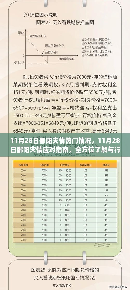 11月28日鄱阳灾情，热门情况解析与应对指南