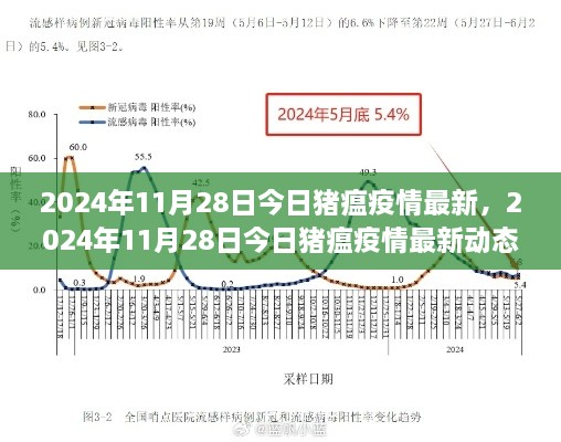 2024年11月28日猪瘟疫情最新动态分析与报告