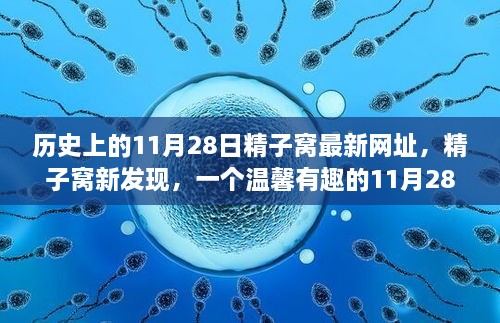 温馨有趣的日常故事，精子窝新发现与历史上的11月28日揭秘