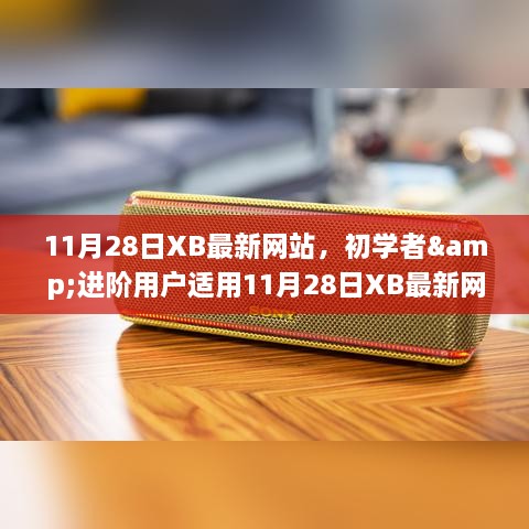 11月28日XB最新网站使用教程详解，适合初学者与进阶用户