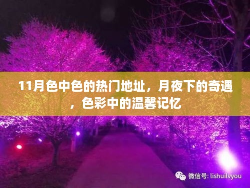 月夜下的奇遇，11月热门地址与色彩中的温馨记忆