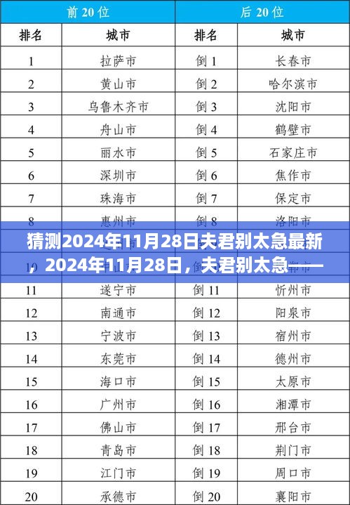 揭秘，时代背景下的新篇章——夫君别太急2024年11月28日最新预测分析