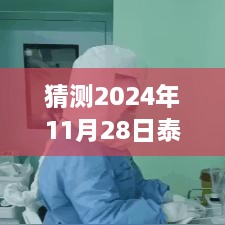 揭秘泰国未来新冠动态，科技引领抗疫新时代，智能科技体验未来生活篇章（预测至2024年11月）