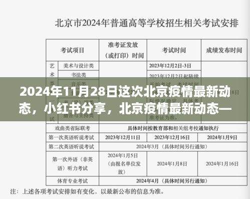 聚焦2024年11月28日，北京疫情最新动态在小红书的分享