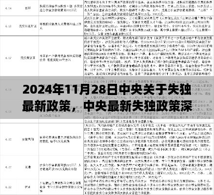 中央最新失独政策解读，2024年11月28日政策亮点与影响分析