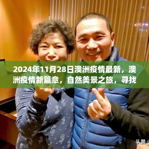 澳洲疫情新篇章，自然美景之旅与内心的宁静与平和（2024年11月28日最新疫情信息）