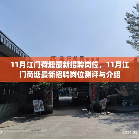 11月江门荷塘最新招聘岗位详解与测评