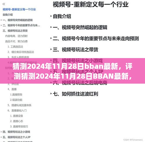 2024年11月28日BBAN最新评测，特性、体验、竞品对比及用户群体深度分析