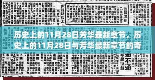 历史上的11月28日与芳华最新章节的交汇点，奇妙时光揭秘