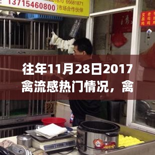 应对往年11月28日禽流感高发期，防控指南与应对策略回顾 2017年禽流感热门情况解析