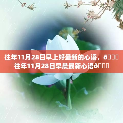 🌟往年11月28日早晨最新心语精选🌟