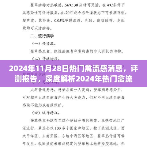 深度解析，2024年禽流感消息背后的故事及评测报告