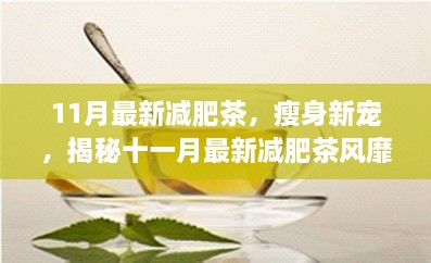 揭秘十一月最新减肥茶风靡背后的故事与瘦身新宠效果解析